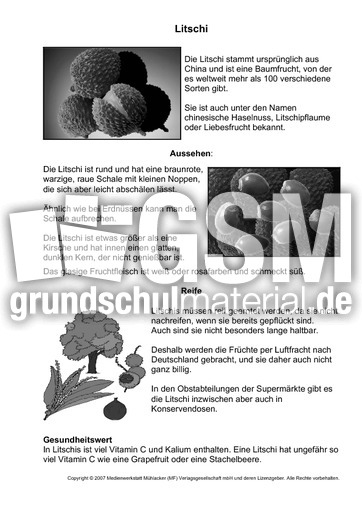 Litschi-SW.pdf